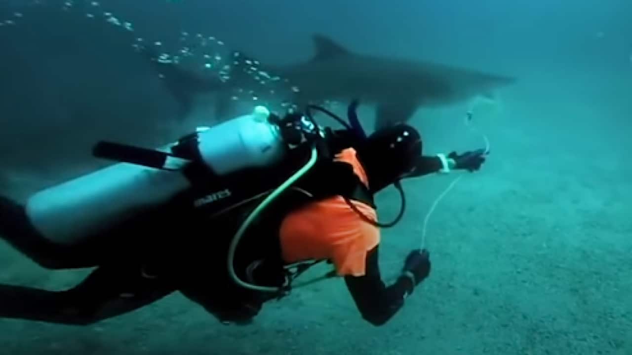 Image for read more article 'Otras noticias en español:'