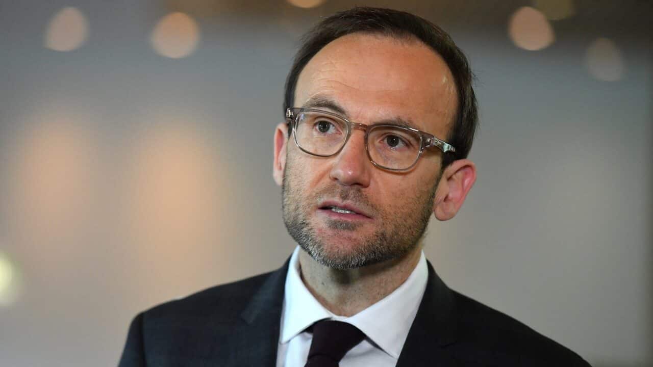 Greens leader Adam Bandt