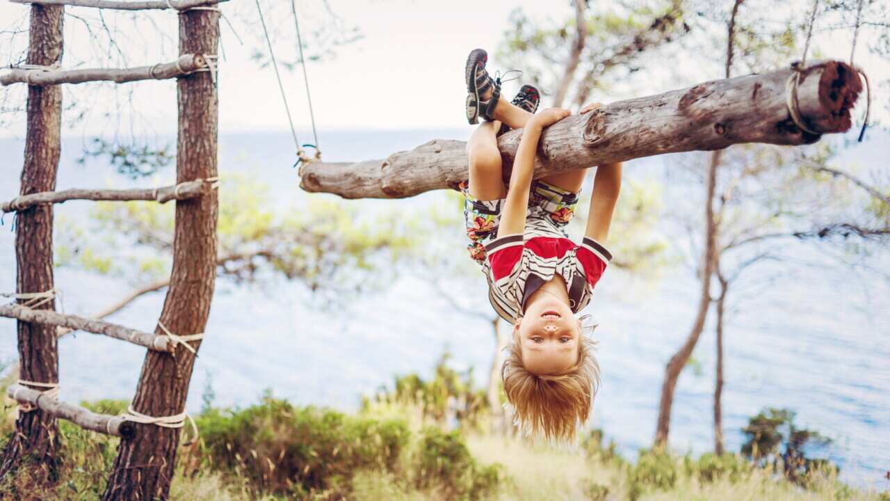 child hanging upside down on a tree