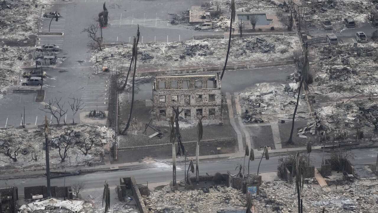 An aerial view of an area of Maui burned to the ground.