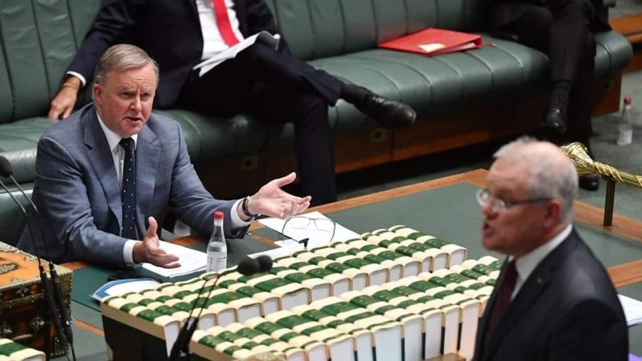Anthony Albanese and Scott Morrison in parliament.