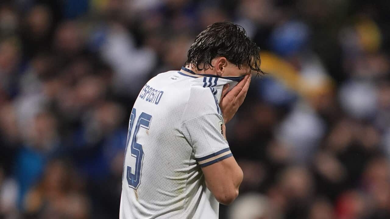 Bosnia Italy WCup Soccer