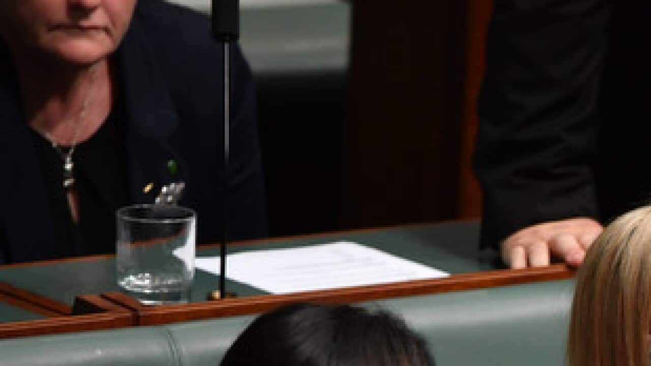 Leader of the Opposition Bill Shorten consoles Susan Lamb (right) after making a statement on her citizenship status in the House of Representatives at Parliament House in Canberra, Wednesday, February 7, 2018. (AAP Image/Mick Tsikas) NO ARCHIVING