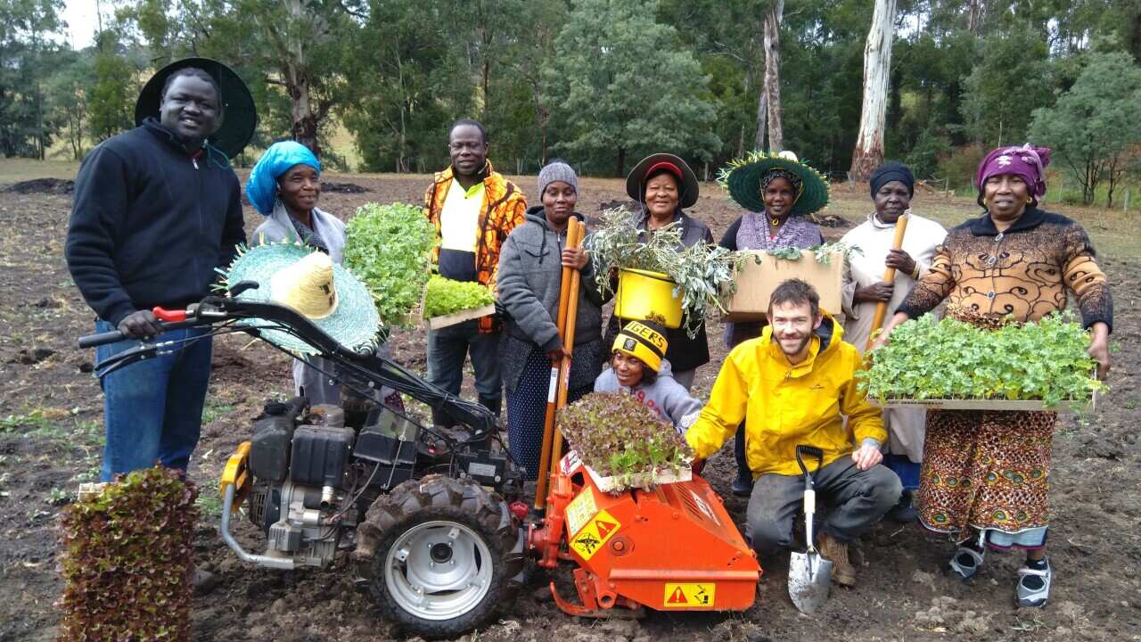 All the African team at the Longwarry farm