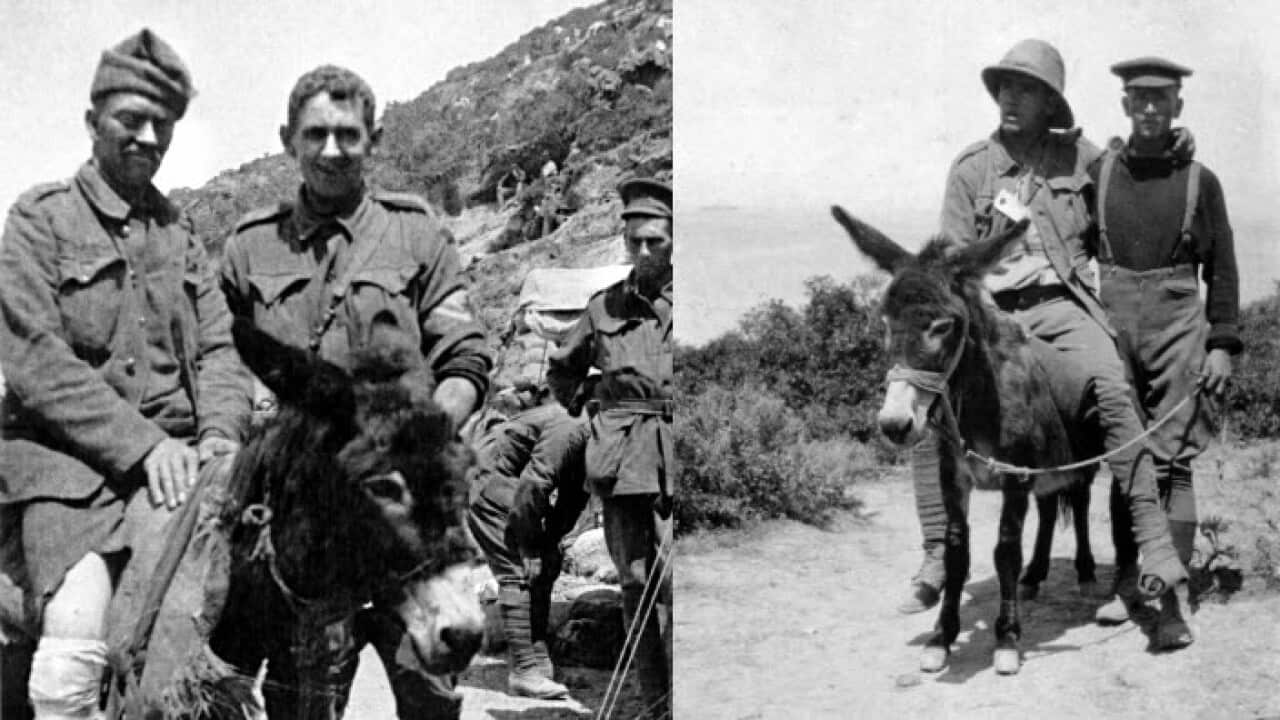 Simpson & His donkey