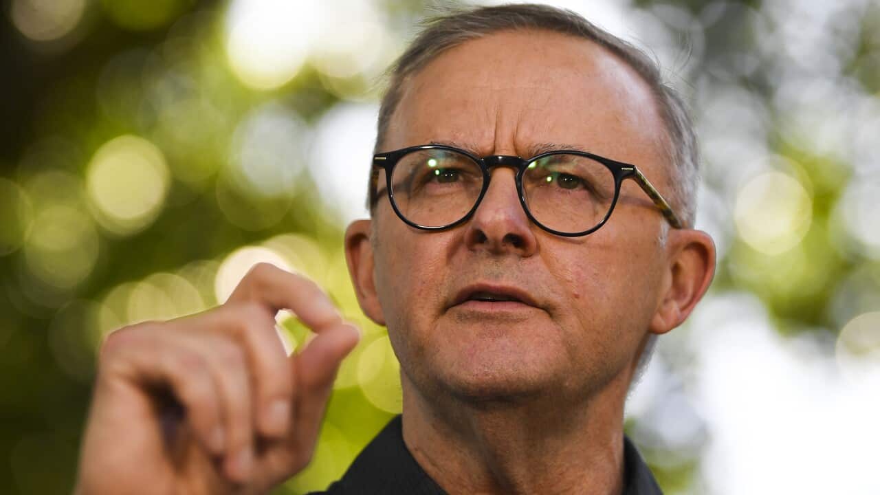 Opposition leader Anthony Albanese speaks to the media during a press conference at Fitzroy Island on the Great Barrier Reef on Friday.