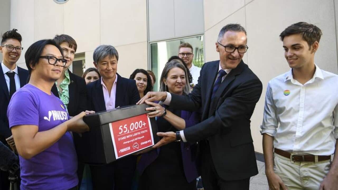 LGBTQ Youth and parliament