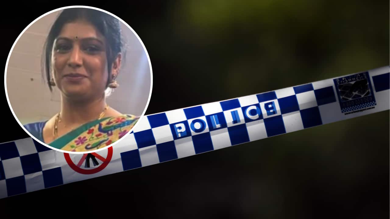 Copy of ALC Header Window Insert.png