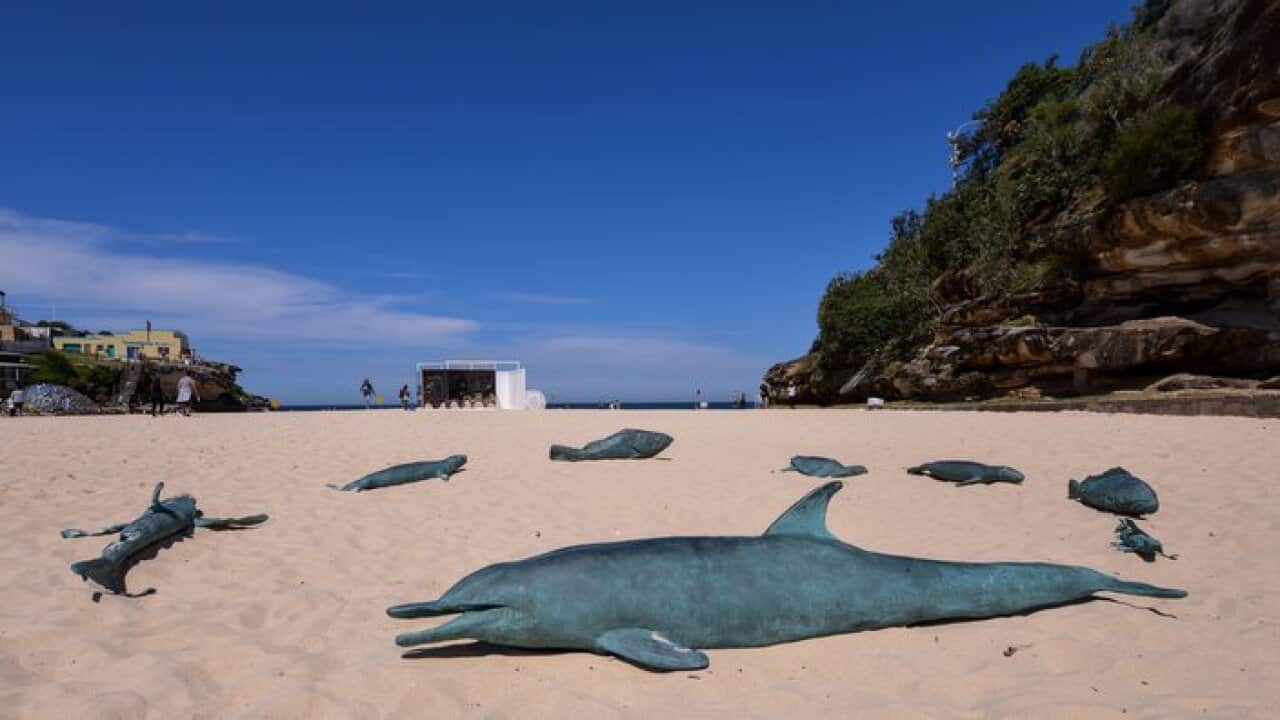 “The Big Fish Eats The Little One” by Evi Savvaidi, Sculpture by the Sea, Bondi 2017