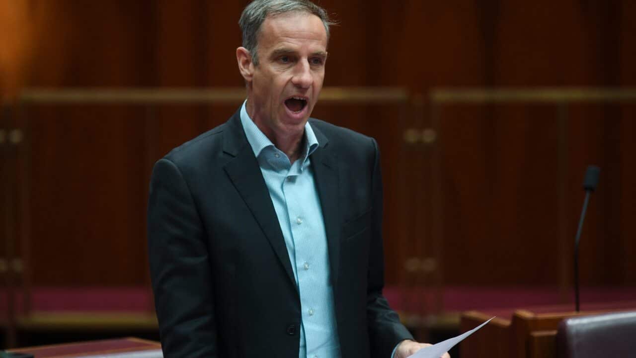 Greens Senator Nick McKim speaks during Question Time in the Senate.