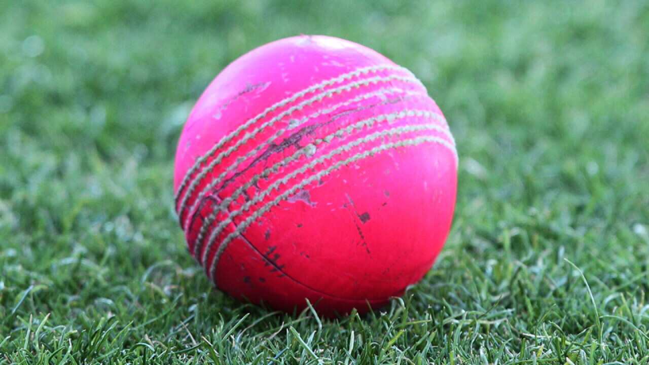 The pink ball.