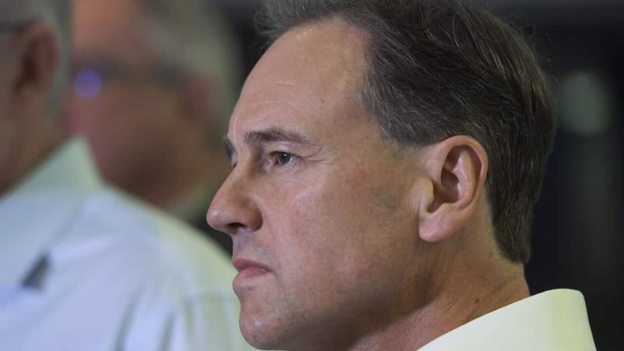 Federal Health Minister Greg Hunt addresses the media