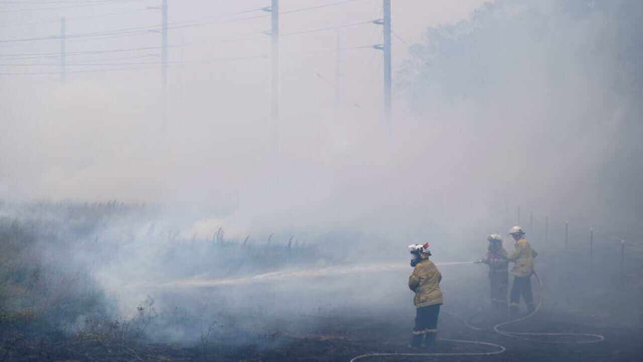 Image for read more article 'READ MORE'