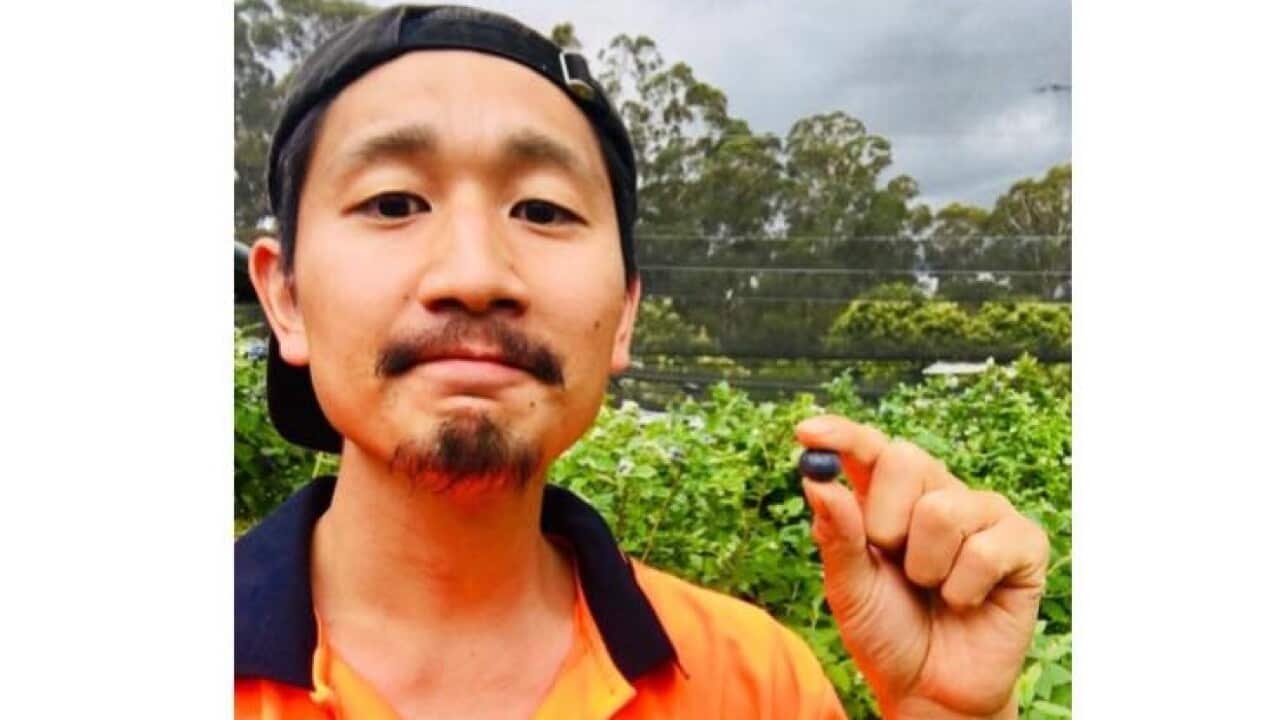 takashi waka melbourne fringe