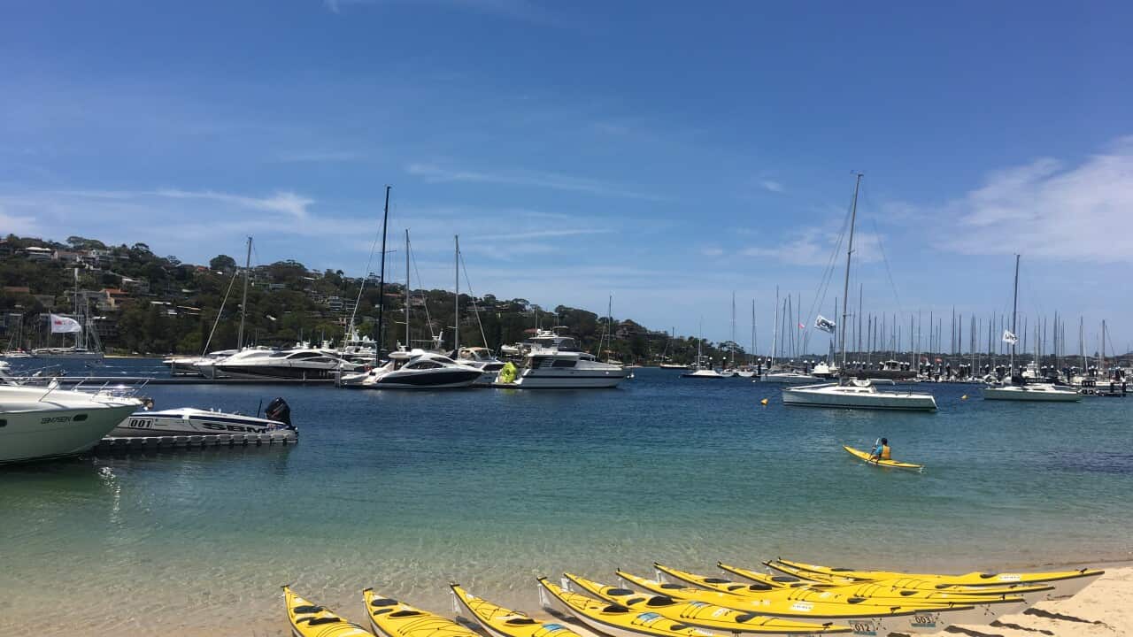 Sydney Harbour Kayaks