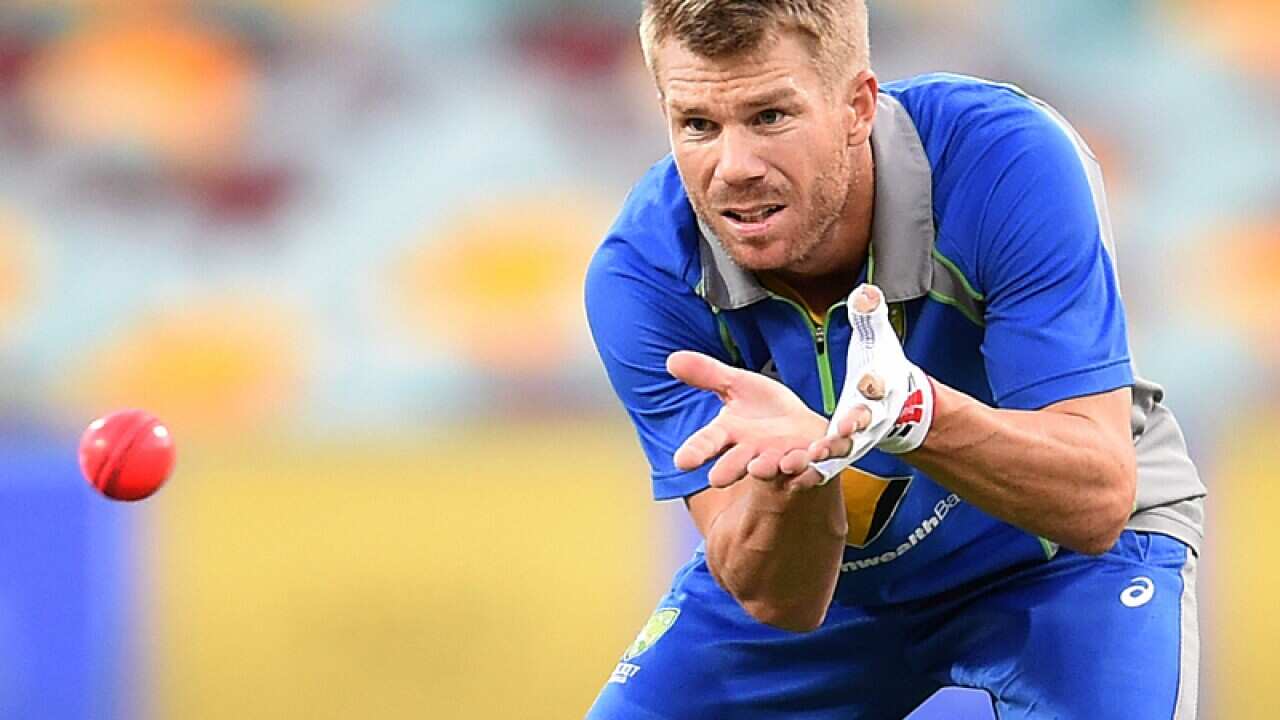Australian cricketer David Warner