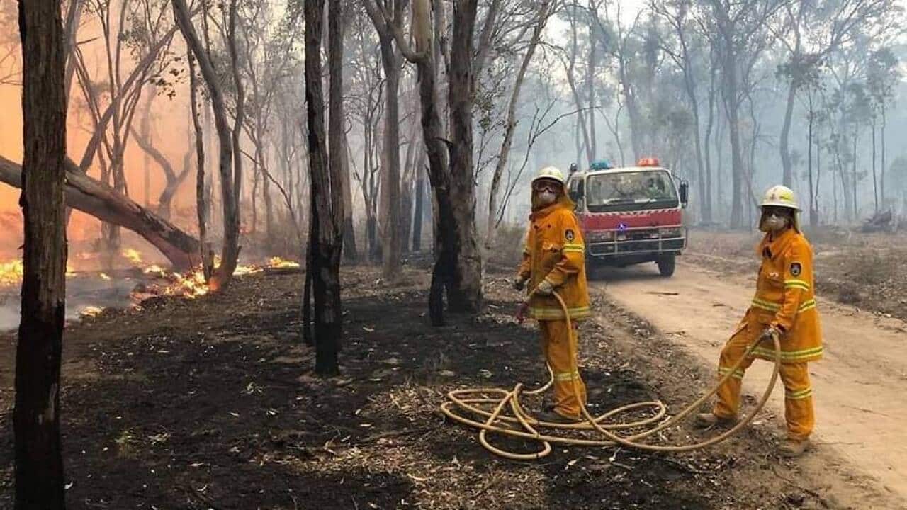 Fire fighters conducting a back burn near Uralla