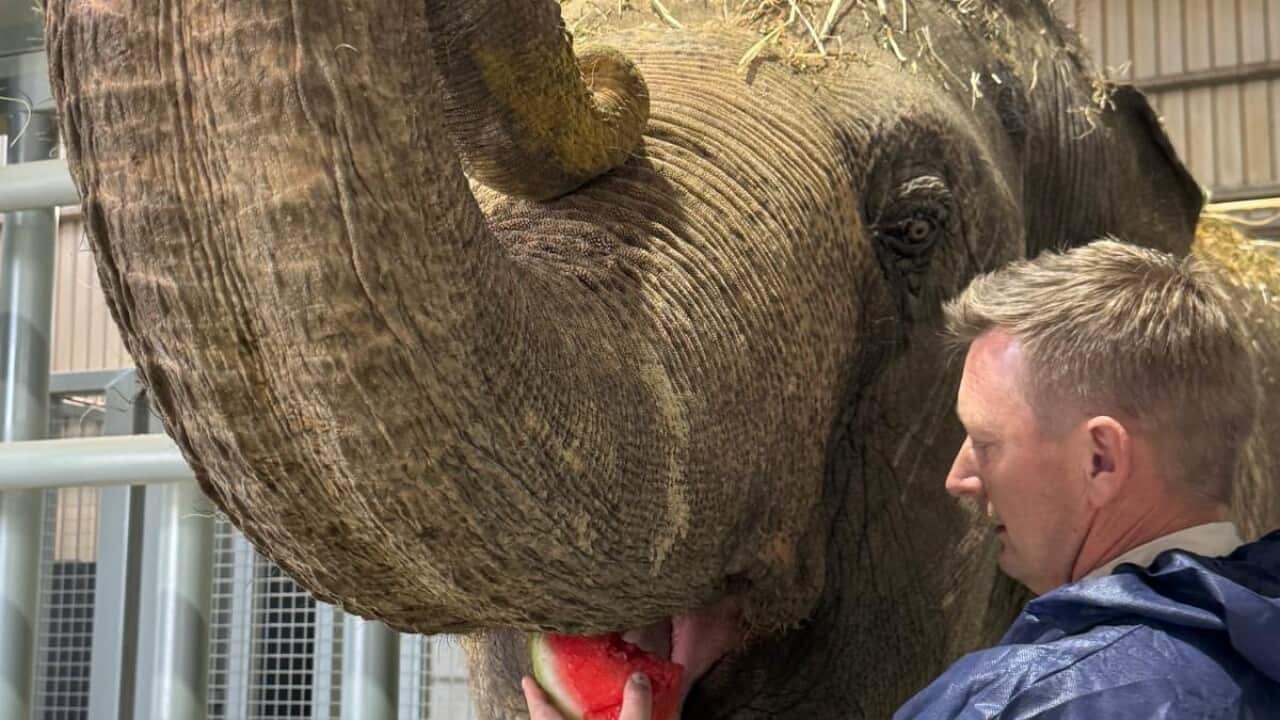 Image for read more article '最近のオーストラリアワイドのエピソード'