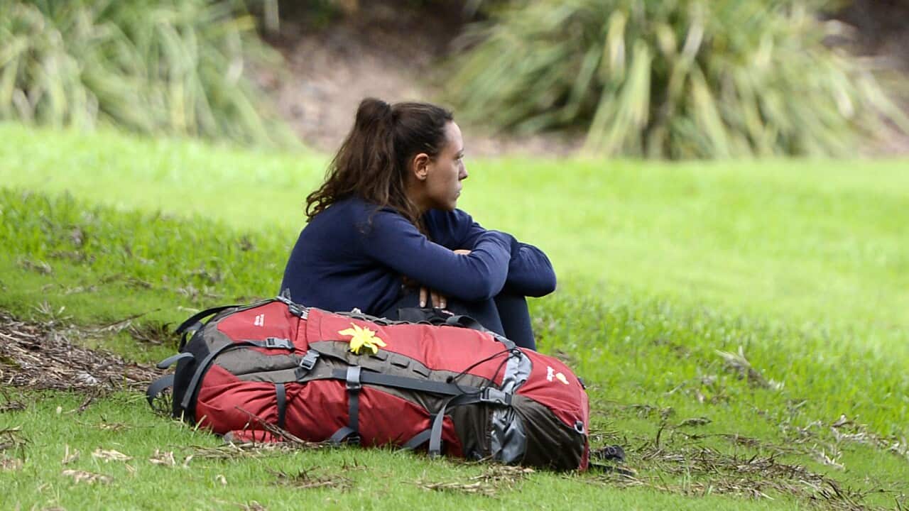 Image for read more article 'ARTÍCULO RELACIONADO:'