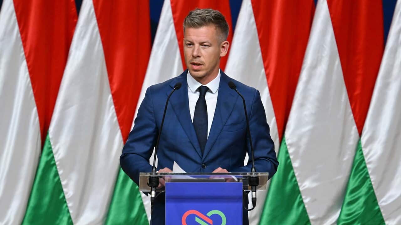 Hungary's Tisza party wins parliamentary elections