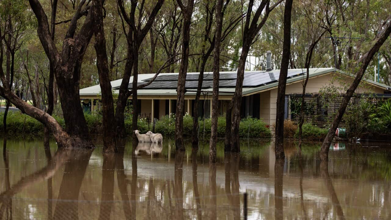 VICTORIA HEAVY RAINFALL
