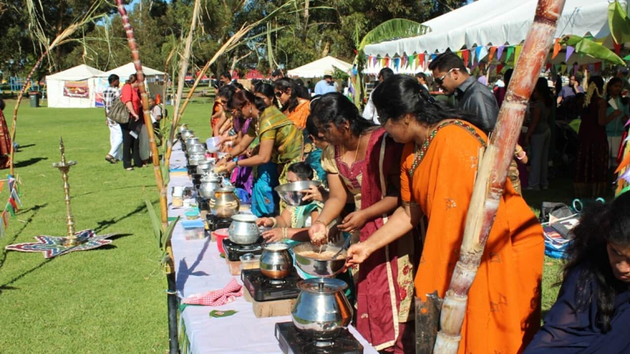 Thai Pongal