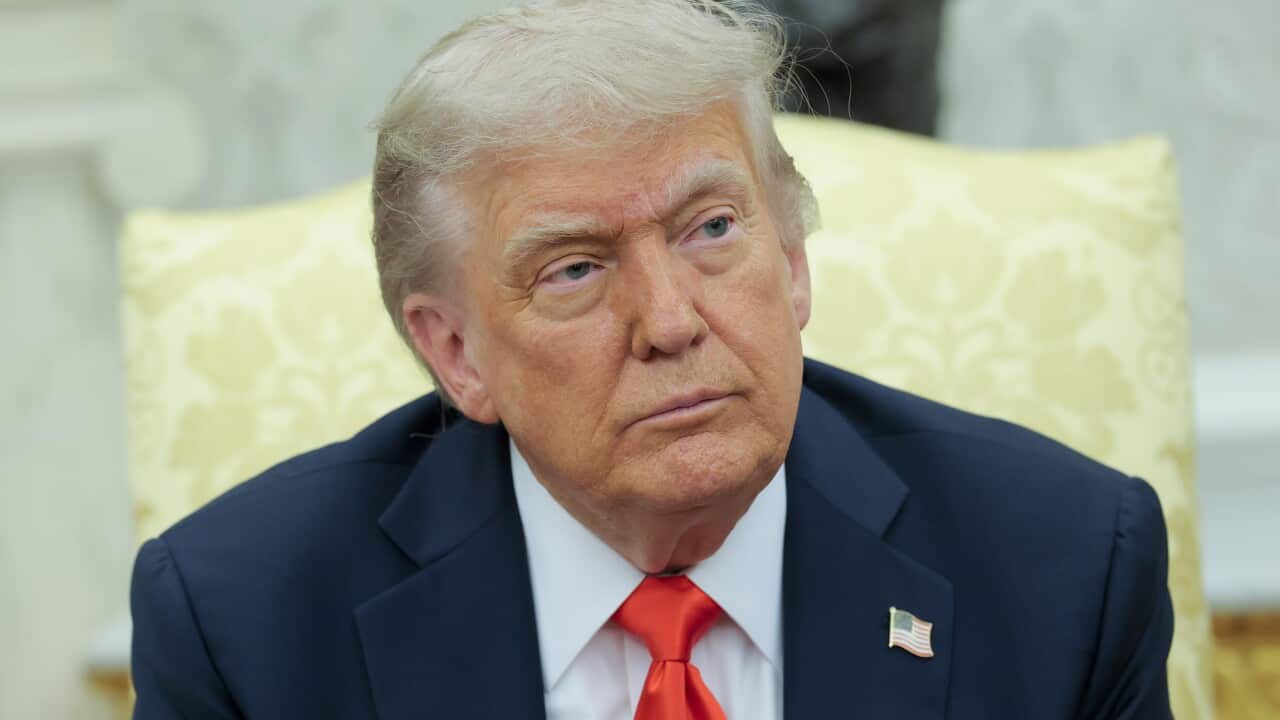 Donald Trump sitting in a yellow chair.