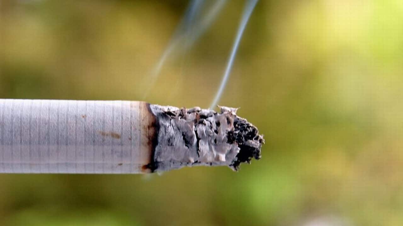 can you ship tobacco across state lines Can You Ship Liquor Across State Lines? – SpiritedShipper can you ship tobacco across state lines Can You Ship Liquor Across State Lines? – SpiritedShipper