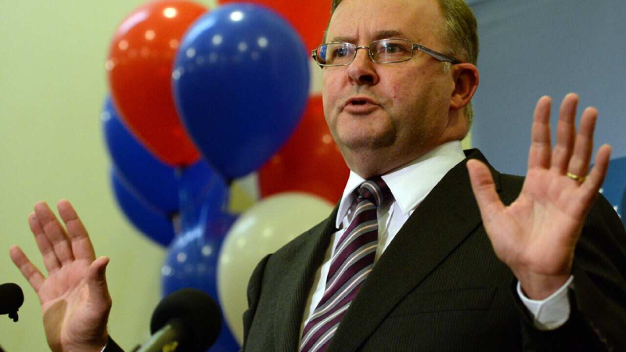 Labor leader candidate Anthony Albanese