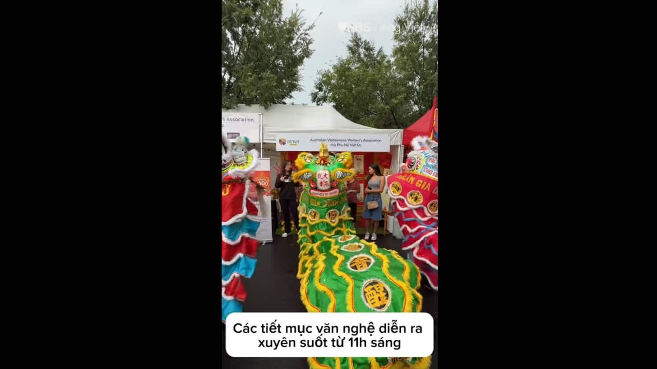 lny vid 1.jpg
