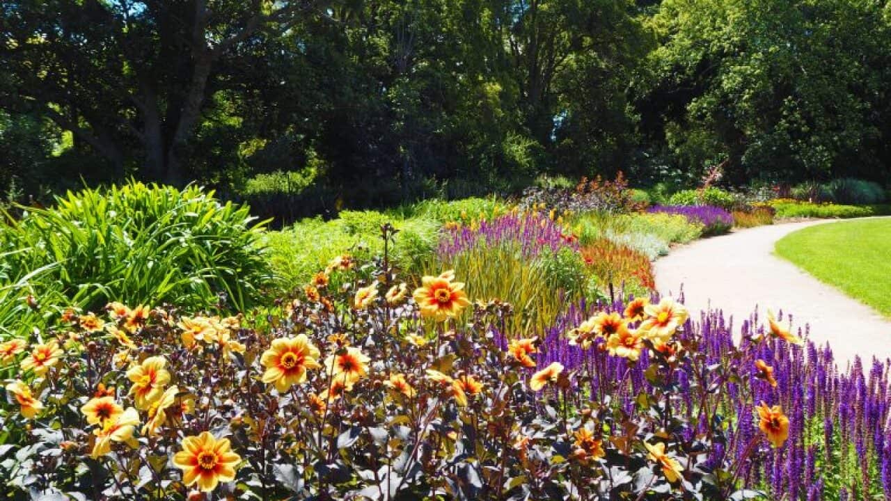 royal botanic garden.jpg