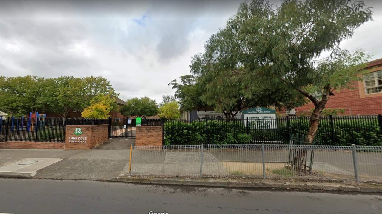 Lane Cove Public School