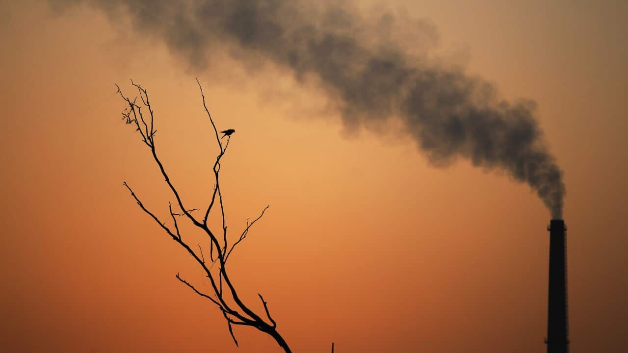 India has rejected calls to announce a net zero carbon emissions target on the eve of COP26