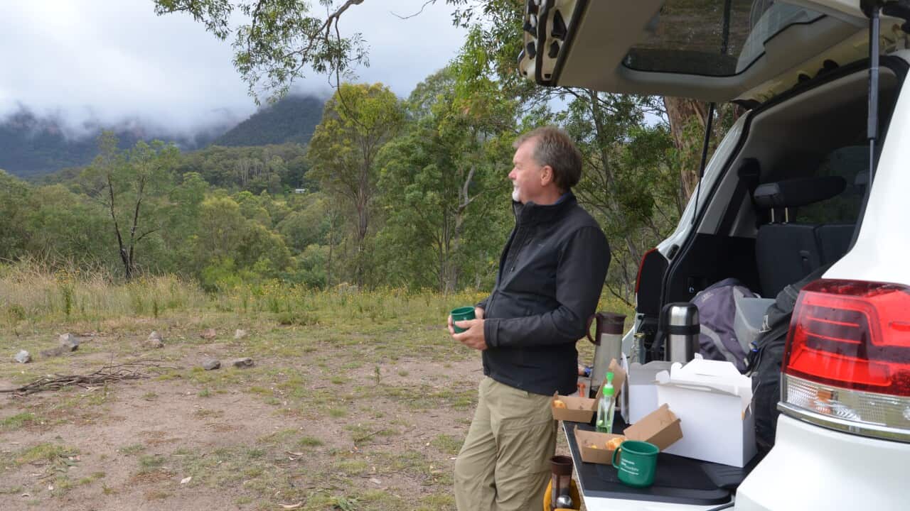 Blue Mountains Bushfires one year later