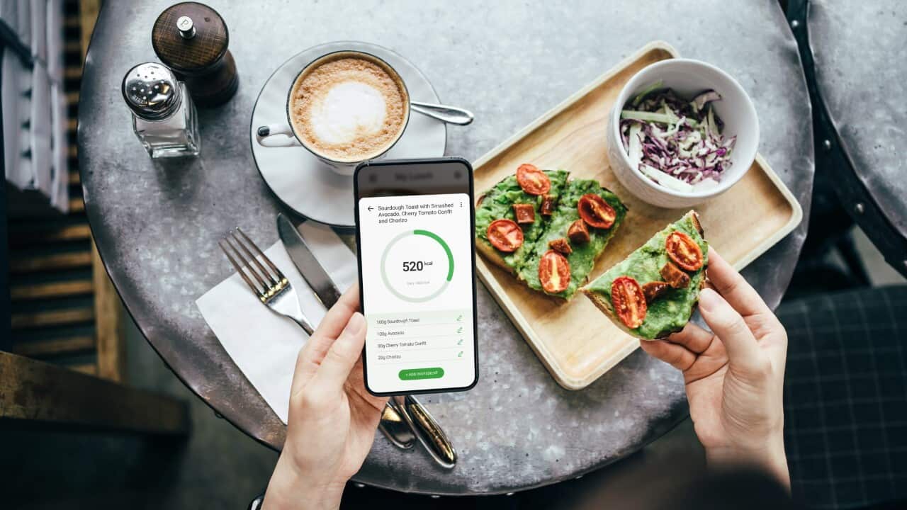 Günlük diyet yemek planı için fitness mobil uygulaması kullanan bir kişi, yemekleri ve kalori alımını kontrol ediyor
