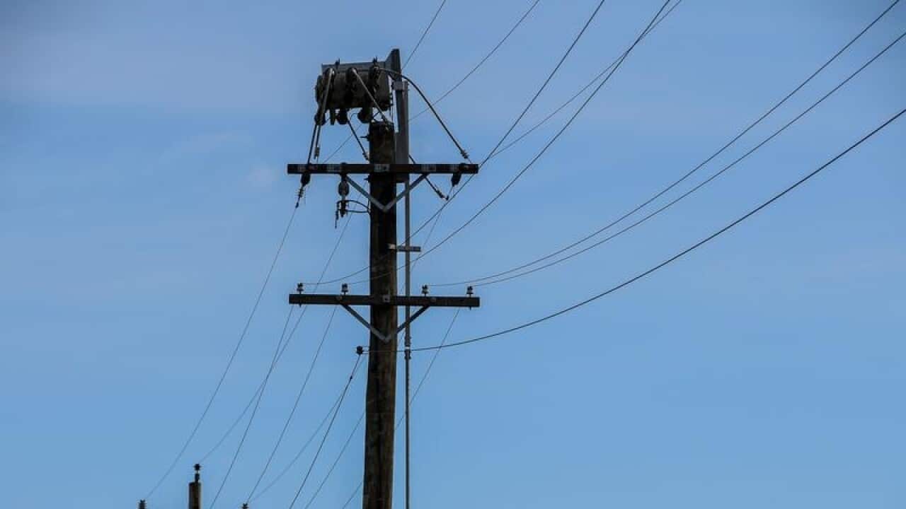 Electricity power poles in Sydney.