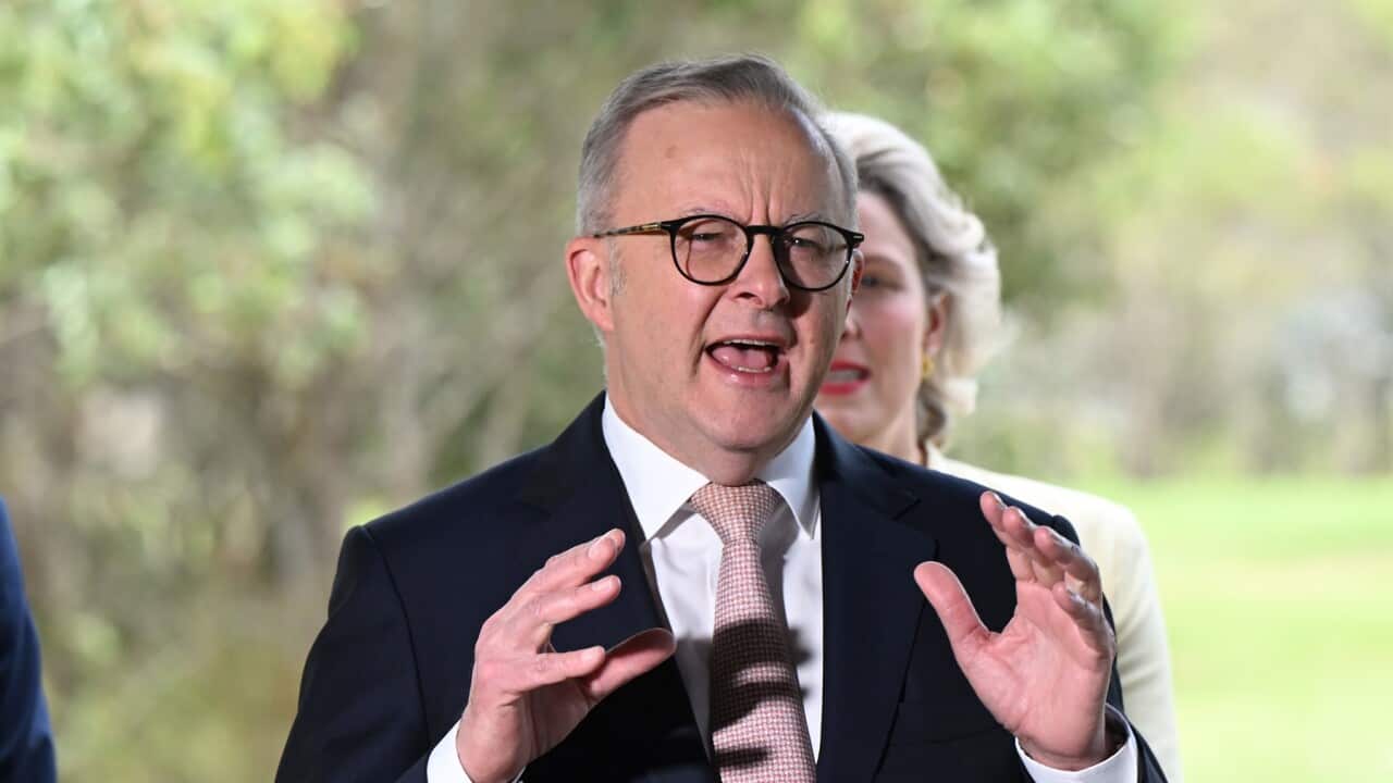 Image for read more article 'READ MORE'