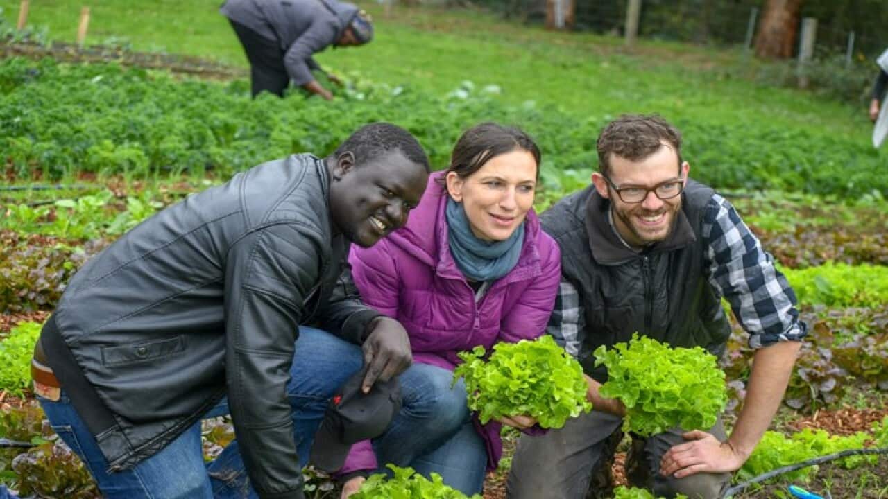 Labor MP Jordan with the members of the United African Farm