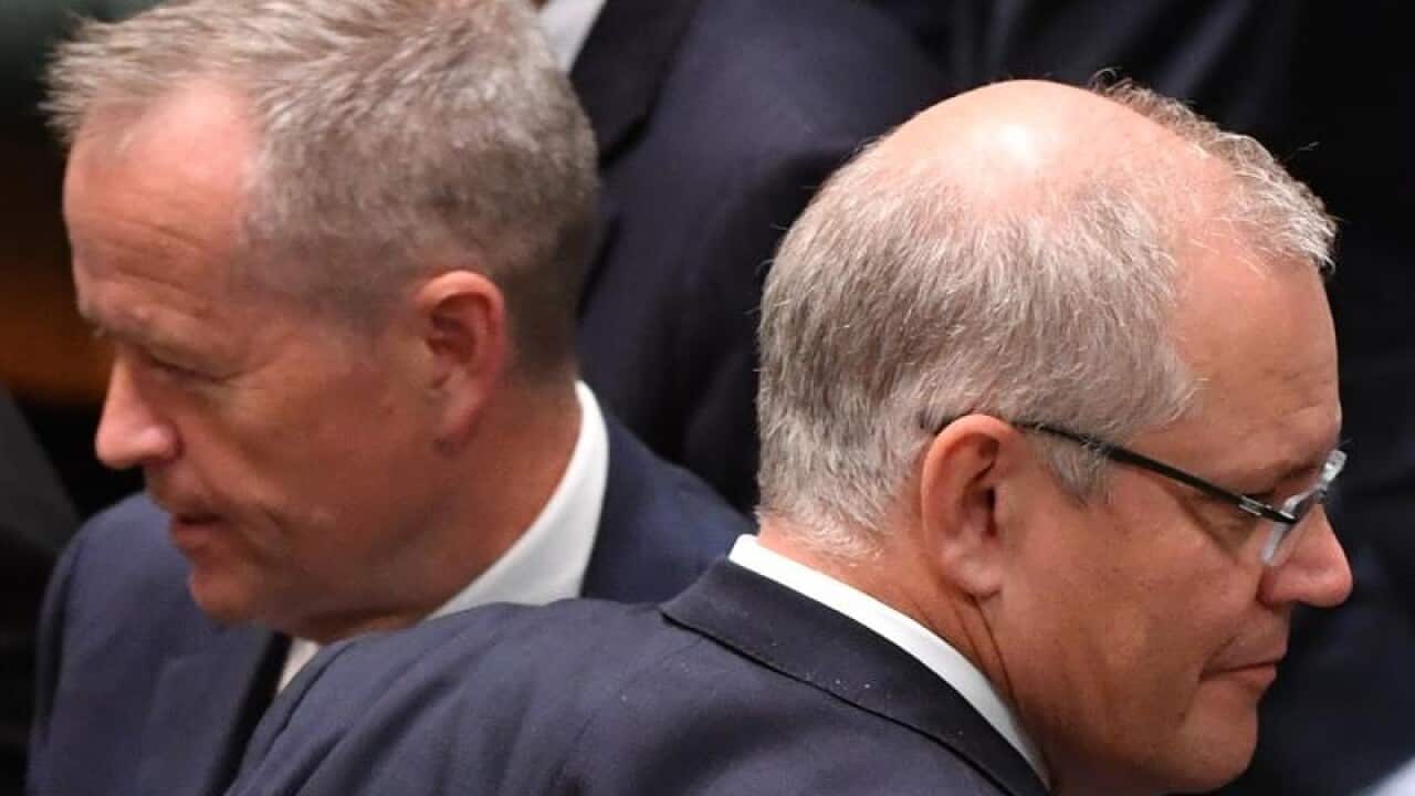 Bill Shorten Scott Morrison