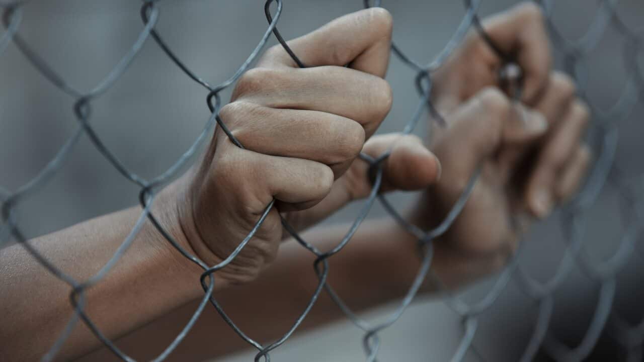 There were more people detained in immigration detention facilities on average in 2020-21 compared to the previous year.