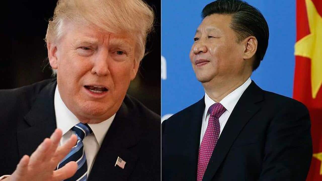 China and the US should "unite to fight" the deadly coronavirus pandemic, President Xi Jinping said in a call with Donald Trump.