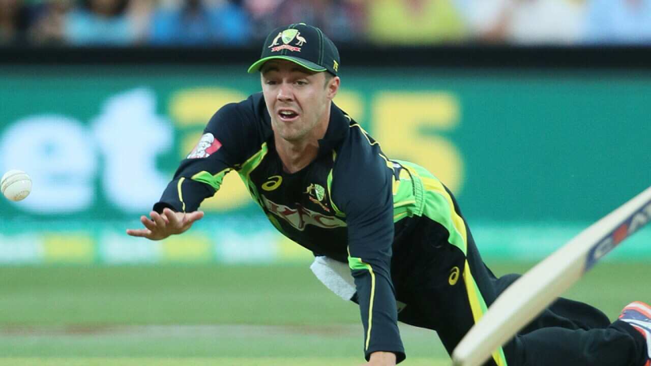 Travis Head of Australia