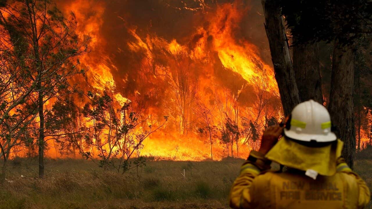 Bushfires in Old Bar, NSW on the weekend.