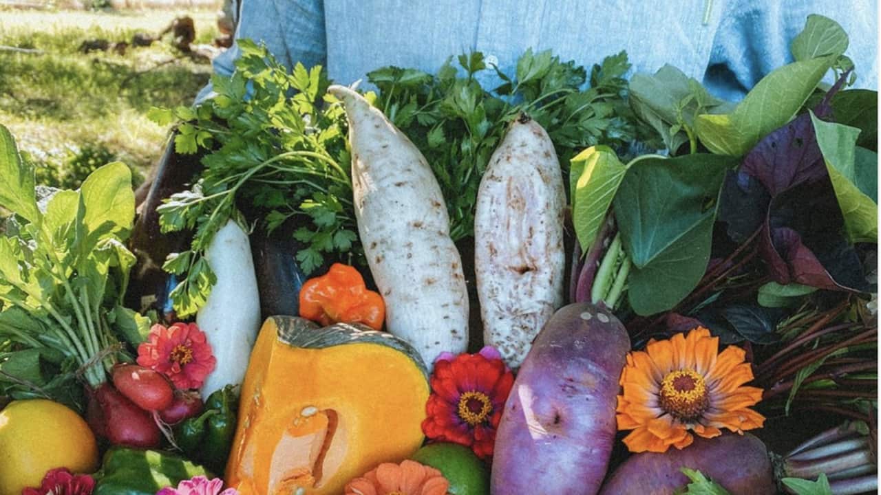 The philosophy that promotes cooking with the whole vegetable or fruit.