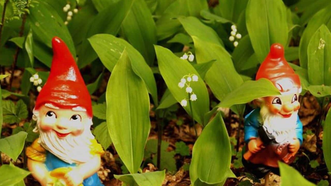 kinderbuch buch literatur garten sachbuch abenteuer lesen vorlesen