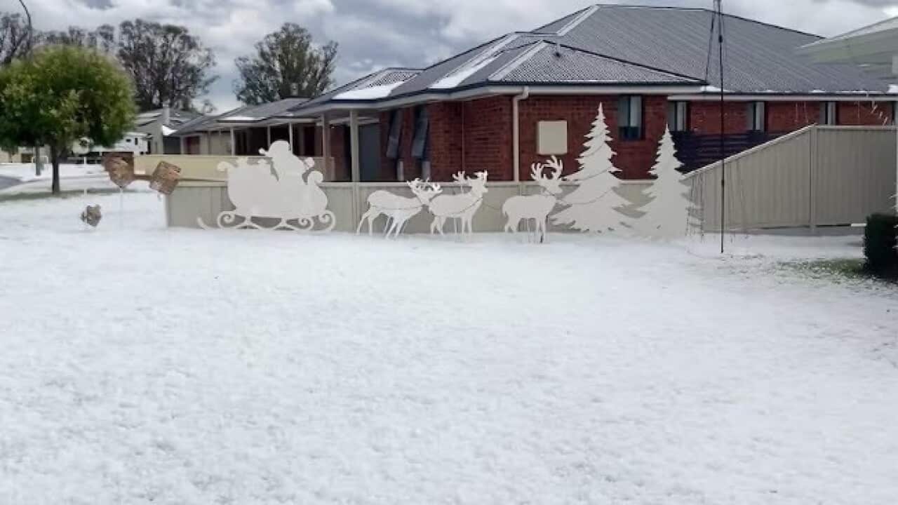 hail in grenfell.jpg