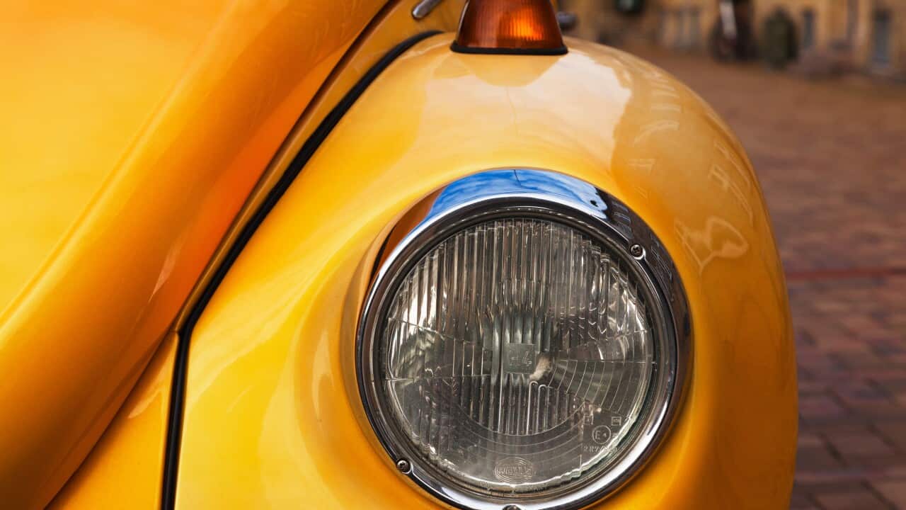 Yellow Beetle