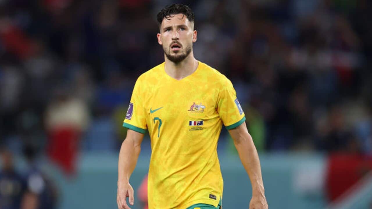 Mathew Leckie looks on during a Socceroos match