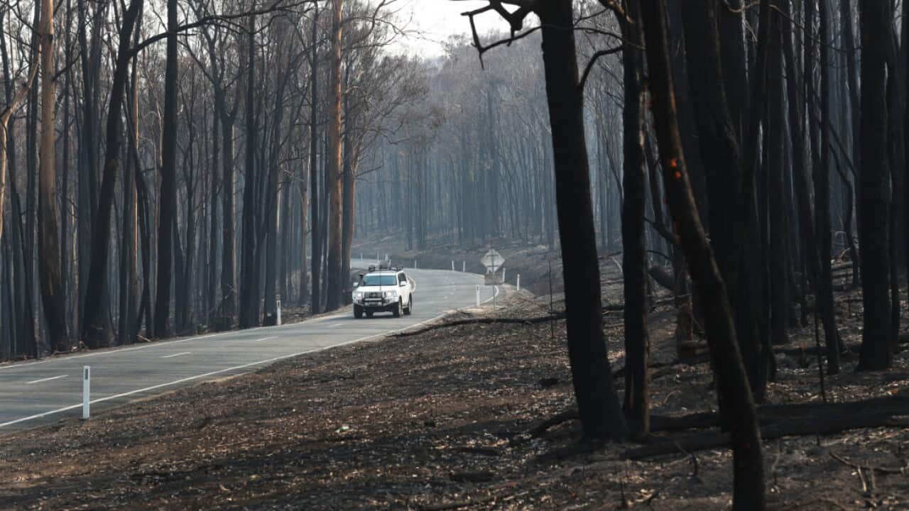 Bushfire damage is seen near Tambo Crossing beside the Great Alpine road in the Victorian high country, Saturday, 25 January, 2020.