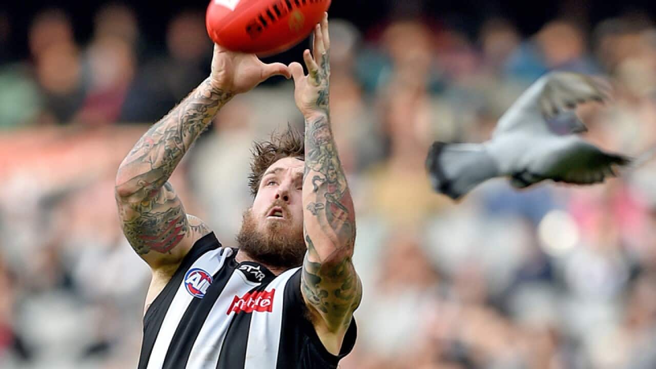 Dane Swan of the Magpies